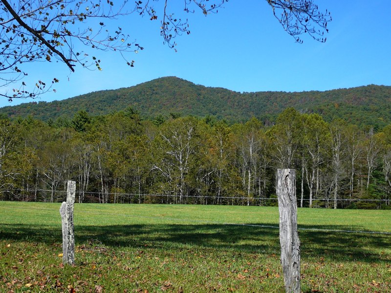 image11